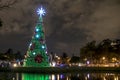 Illuminated traditional Christmas tree in Ibirapuera, at night, it is of the attraction in the south zone of the city of Sao Paulo