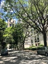 Sao Paulo, Brazil - December 30, 2018: Street with trees in Itaim Bibi neighborhood