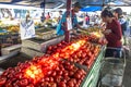 Traders sell fresh tomatoes Royalty Free Stock Photo