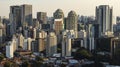 Sao Paulo Brazil, large city, large buildings