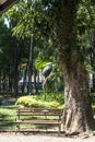 , Brazil, October 29, 2011. People on Luz Public Park in downtowns Sao Paulo. This is the city's first public park Royalty Free Stock Photo