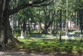 Brazil, October 29, 2011. People on Luz Public Park in downtowns Sao Paulo. This is the city's first public park Royalty Free Stock Photo