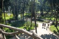 People on Luz Public Park in downtowns Sao Paulo. This is the city's first public park Royalty Free Stock Photo