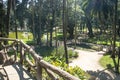 People on Luz Public Park in downtowns Sao Paulo. This is the city's first public park Royalty Free Stock Photo