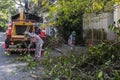 Municipality workers take the pruning of tree removal