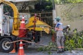 Municipality workers take the pruning of tree removal