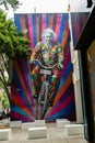 Sao Paulo Einstein Graffiti