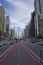 Sao Paulo, Paulista Avenue, Modern city street view, Brazil, South America