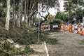 Municipality workers take the pruning of tree removal in Sao Paulo