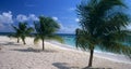 Saona island beach Dominican republic Royalty Free Stock Photo