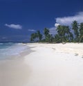 Saona island beach- Dominican republic Royalty Free Stock Photo