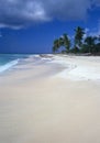 Saona island beach Dominican republic Royalty Free Stock Photo