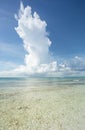 Saona Island Beach in Punta Cana, Dominican Republic. Royalty Free Stock Photo