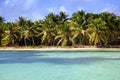 Saona island beach Royalty Free Stock Photo