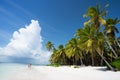 Saona Island in Punta Cana, Dominican Republic.