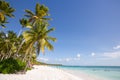 Saona Island in Punta Cana, Dominican Republic. Royalty Free Stock Photo