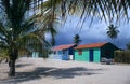 Saona island village palm trees Dominican republic