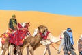 Tuareg men promenade with dromedaries Royalty Free Stock Photo