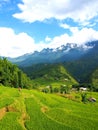 Sapa Rice Field Rice Terrace in Vietnam. Royalty Free Stock Photo