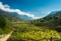 Sapa Rice Terraces