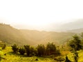 Sapa valley city in the mist in the morning. Royalty Free Stock Photo