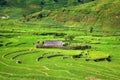 Sapa, Vietnam