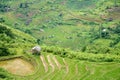 Sapa, Vietnam