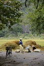 Sapa, Vietnam - July 18, 2013; Vietnamese farmers and fishermen in rural villages