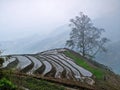 Y ty, Sapa, Lao cai, Vietnam