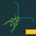 Saperda insect outline Royalty Free Stock Photo