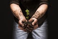 Sapling with the earth in the man`s palms, new life Royalty Free Stock Photo