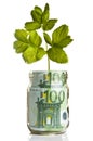 Sapling and euro money Royalty Free Stock Photo