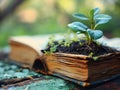 Sapling Growing from a Book: Knowledge Nurturing - AI Generated Royalty Free Stock Photo