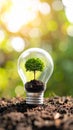 Sapling Growing inside Light Bulb on Soil Sustainable Energy Concept Royalty Free Stock Photo