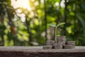 The sapling growing on a pile of coins has a natural, blurry green background. Royalty Free Stock Photo