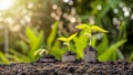 Sapling of growing plants on stacked coins and fertile soil. Royalty Free Stock Photo