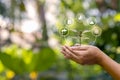 Sapling growing on soil in farmer`s hands and plant growth factor icon, afforestation Royalty Free Stock Photo