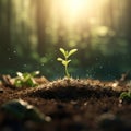 A sapling of a plant growing out of the ground in a lush forest in the morning atmosphere. Illustration. Generative AI Royalty Free Stock Photo