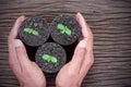 Two hands of the men were surrounded from three seedlings are planted in plastic bottles placed on a wooden floor, ecology concept Royalty Free Stock Photo