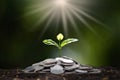 The saplings that grow on the pile of coins include the white light flooding the trees Royalty Free Stock Photo