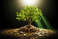 The saplings that grow on the pile of coins include the white light flooding the trees, business ideas, saving money, and economic Royalty Free Stock Photo