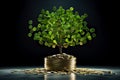 The saplings that grow on the pile of coins include the white light flooding the trees, business ideas, saving money, and economic Royalty Free Stock Photo