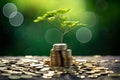 The saplings that grow on the pile of coins include the white light flooding the trees, business ideas, saving money, and economic Royalty Free Stock Photo