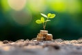 The saplings that grow on the pile of coins include the white light flooding the trees, business ideas, saving money, and economic Royalty Free Stock Photo