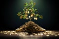 The saplings that grow on the pile of coins include the white light flooding the trees, business ideas, saving money, and economic Royalty Free Stock Photo