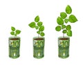 Saplings growing from euro banknotes