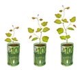 Saplings growing from euro banknotes Royalty Free Stock Photo