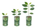 Saplings growing from euro banknotes Royalty Free Stock Photo