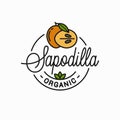 Sapodilla fruit logo. Round linear of slice