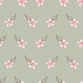 saponaria flowers seamless vector pattern